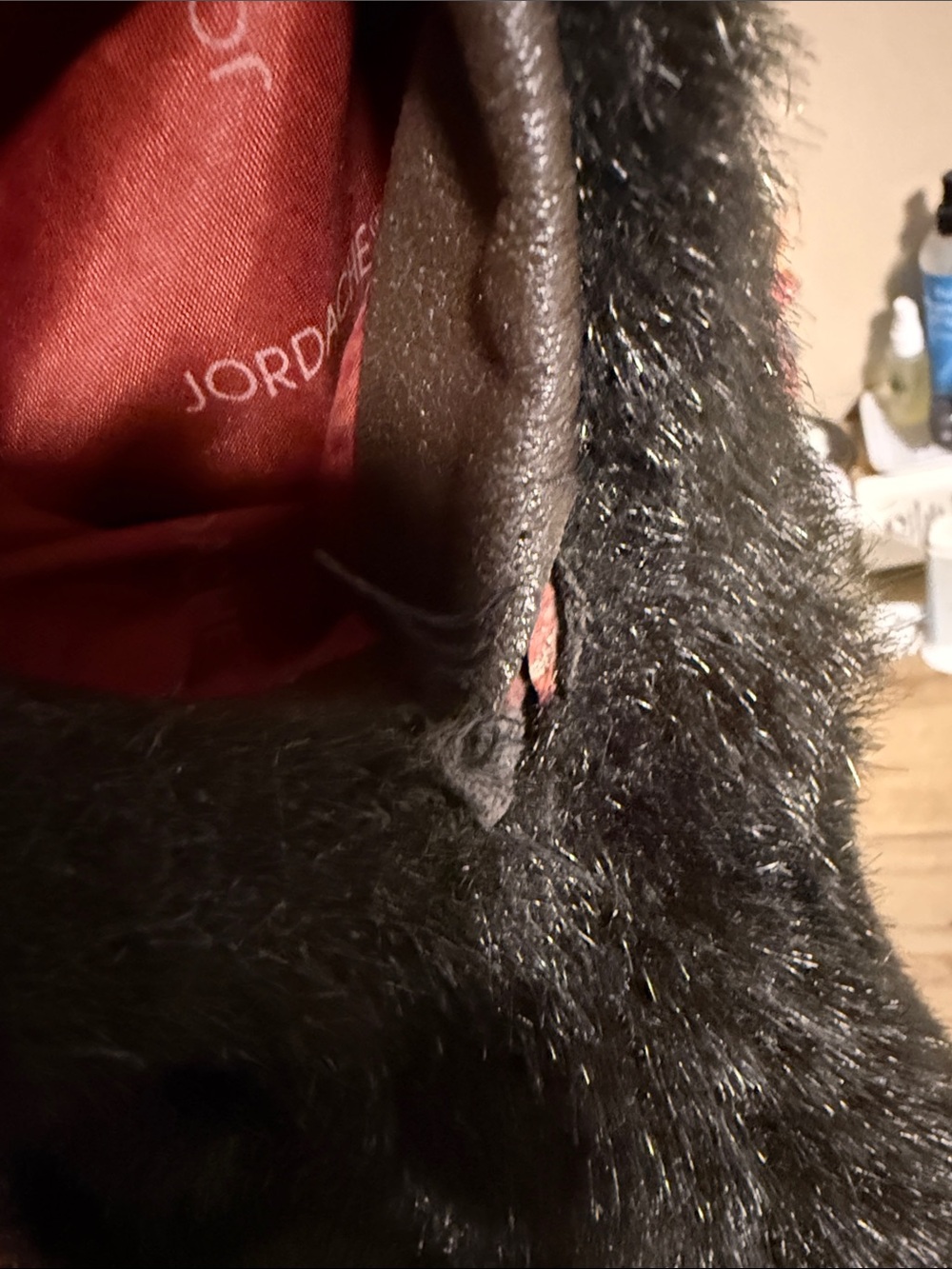 Beautiful Vintage Jordache Black Faux Fur Teddy Coat for Women - Picture 6 of 7